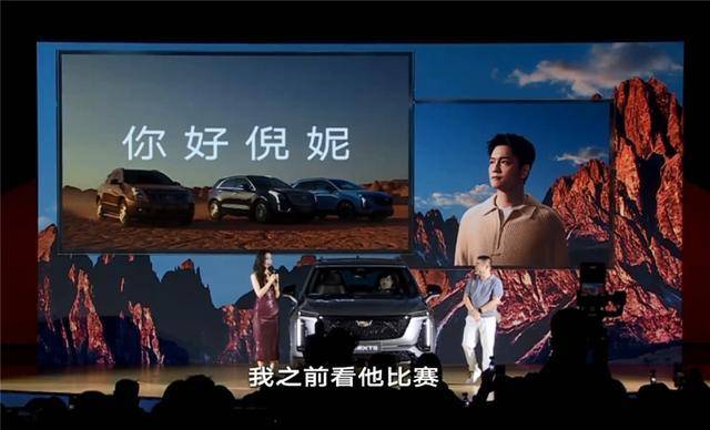 倪妮, 职业生涯中